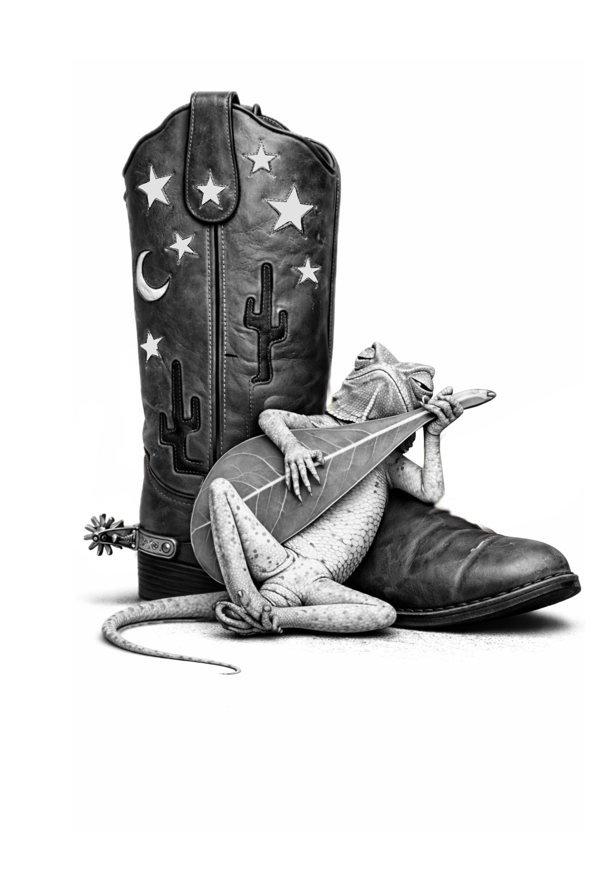 Texas Lizard